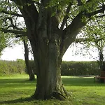 Ratteyer Idyll Schonbeck (Mecklenburg-Vorpommern)