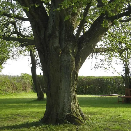 Ratteyer Idyll Schonbeck (Mecklenburg-Vorpommern)