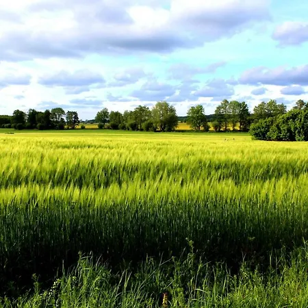 Ratteyer Idyll