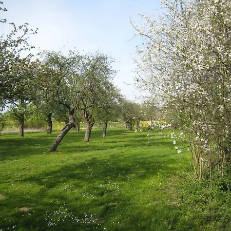 Ratteyer Idyll 別荘 Schönbeck